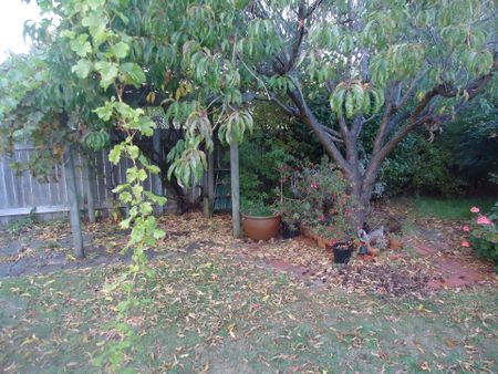 32 Chichester Drive, Devonport TAS 7310 - Photo 3