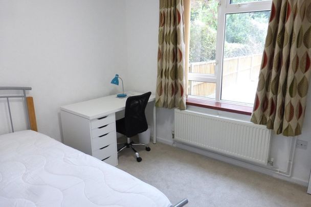 North Park Avenue, NORWICH - Photo 1