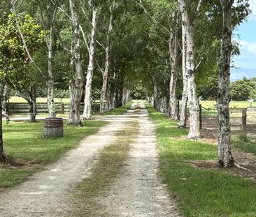 Country living close to town - Photo 4