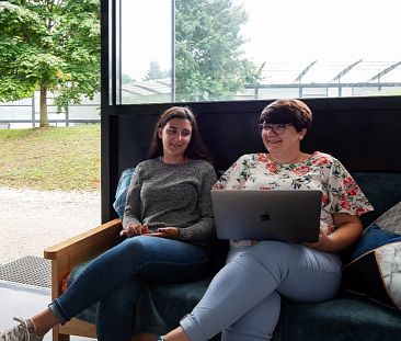 Chbre classique + - Photo 3