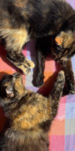 North Bondi - Photo 3