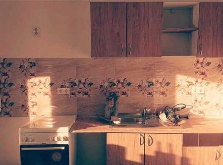 Apartament cu 2 camere, 60 mp, decomandat, mobilat modern, pet friendly, zona strazii Urusagului - Photo 3