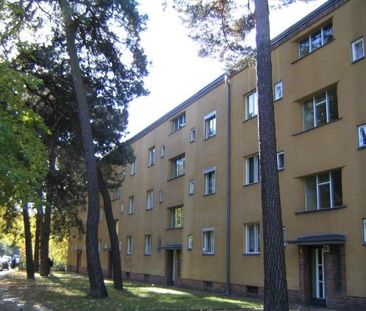 Gut geschnittene 2-Zimmer Wohnung - Foto 1