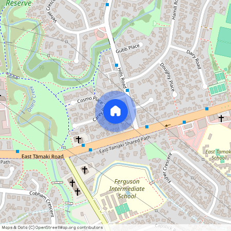 8 Carey Place, Otara, Manukau City