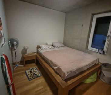 2.5 Zimmer - Photo 1