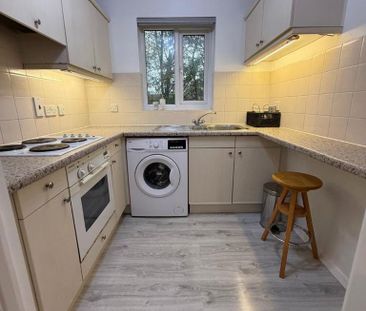 Studio to rent - Photo 4