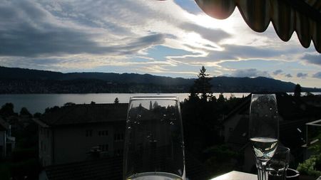 2 Zimmer-Wohnung in Erlenbach (ZH), möbliert, auf Zeit - Photo 2