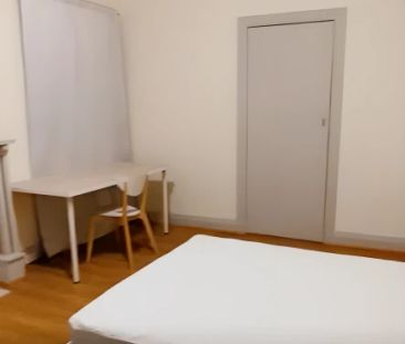 45 Houston Rd, Sydney - Photo 4