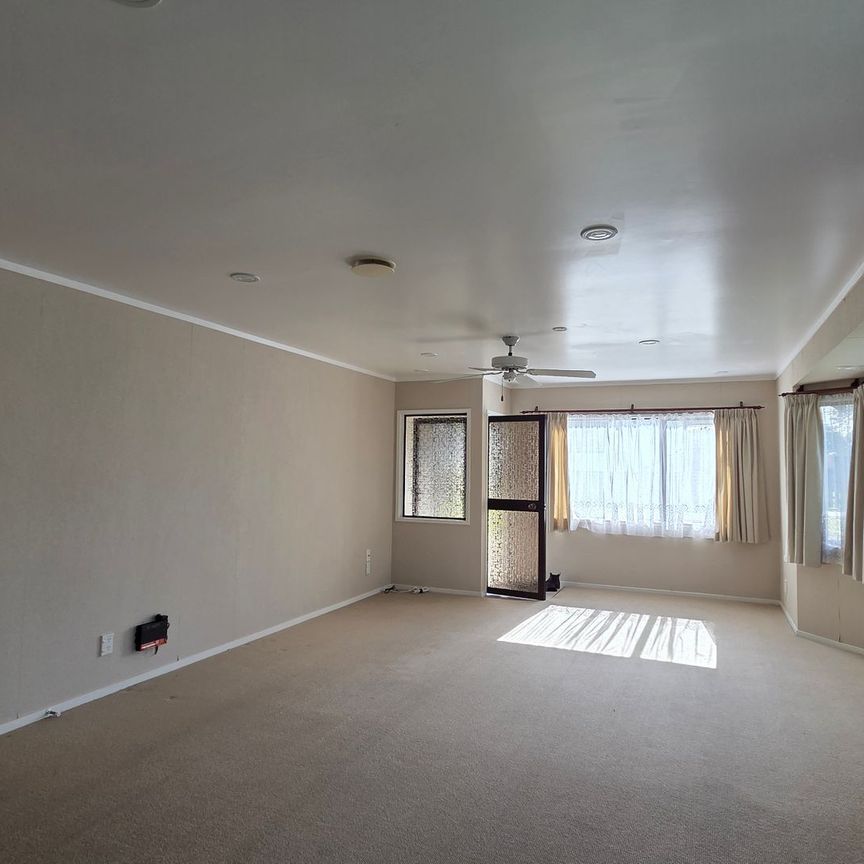 Your Sunny Sanctuary in the Heart of Town - Photo 1