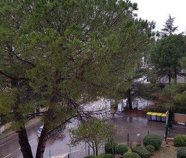 Location Appartement 3 pièces 63m² CASTELNAU LE LEZ 34170 - Photo 5