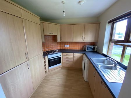16 Parkview Court, BT66 8AF, Lurgan - Photo 3