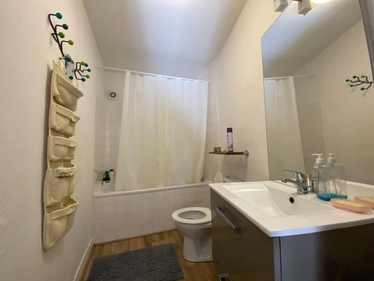 Location Appartement 1 pièce Meublé 42m² AVIGNON 84000 - Photo 1