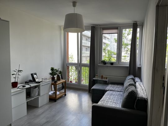 Mieszkanie na wynajem Wrocław-Krzyki Wrocław - Photo 1