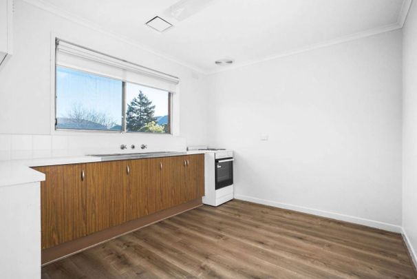 SPACIOUS | FRESHLY PAINTED | GREAT LOCATION - Photo 1