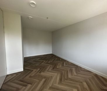 Bergstraat - Photo 2