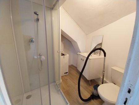 Location Appartement 1 pièce 16m² NANTES 44000 - Photo 4