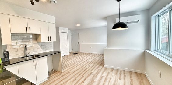 3 1/2 A Louer - Photo 3