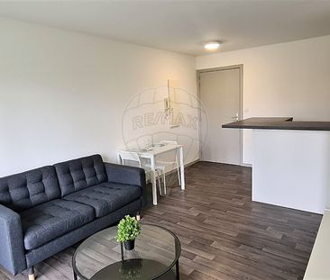 Appartement 1 chambre(s) à louer - Mérignac - Photo 2