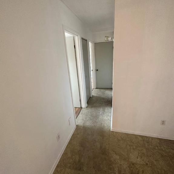 GRAND ET LUMINEUX 4.5 DISPONIBLE 15 NOVEMBRE - Photo 1