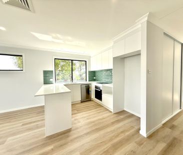 Stylish New Build in Sought-After Taree West - Photo 5
