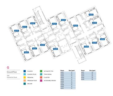 Premium Plus - Photo 4