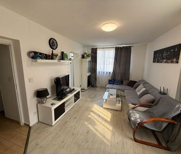Pronájem bytu 2+1 50 m², Jankov - Photo 1