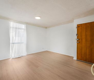 Walk to All Amenities - Photo 6