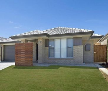 Mango Hill - Photo 6