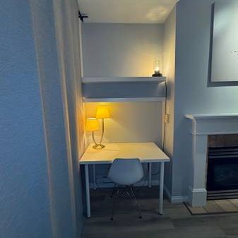 Fully furnished Studio with a private 260sq/ft patio - Photo 4