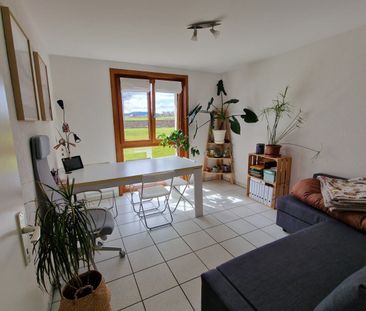 2 Zimmer, 44 m² - Photo 5