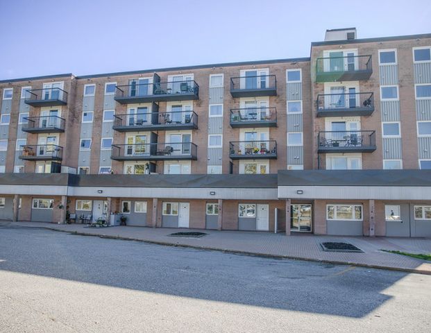 Trout Lake Place - ALL INCLUSIVE | 2677 Trout Lake, North Bay - Photo 1