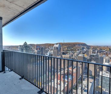 Nouveauté sur le marché Appartement à louer - Montréal (Ville-Marie... - Photo 1