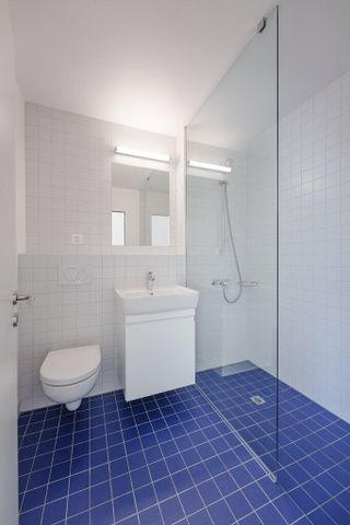 Living near the Hochschule Luzern - Photo 5