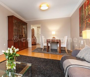 Modern Single Living - Photo 1