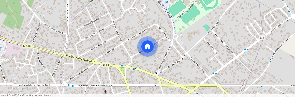 Conflans-Sainte-Honorine