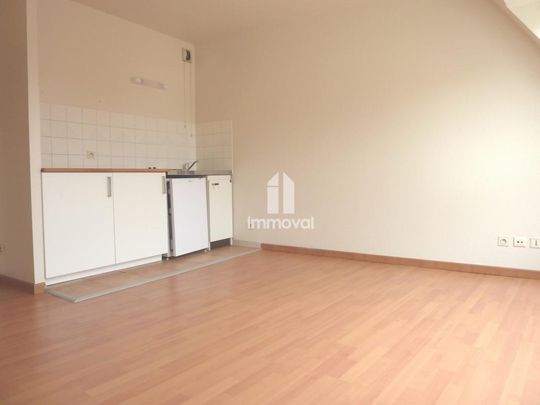 Location Appartement 1 pièce 20m² SCHILTIGHEIM 67300 - Photo 1