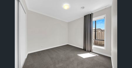 Family Entertainer! - Photo 2