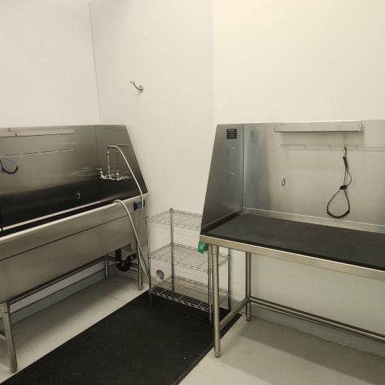 1bed 1bath Condo; Lodges – Available November – Unit 2-307 - Photo 1