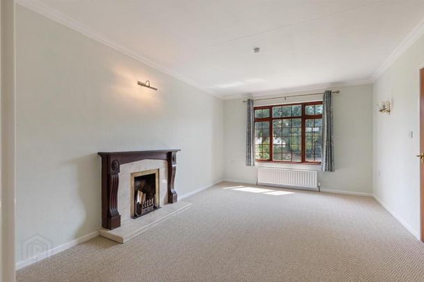 11a Ballykeigle Road, Comber, BT23 5SD - Photo 1