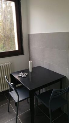 Location Appartement 1 pièce 28m² NANCY 54000 - Photo 1