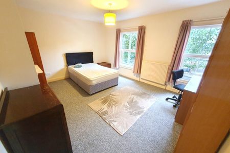 Doris Road, NORWICH - Photo 4