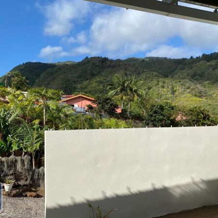 Location Appartement 1 pièce 24m² STE CLOTILDE 97490 - Photo 3