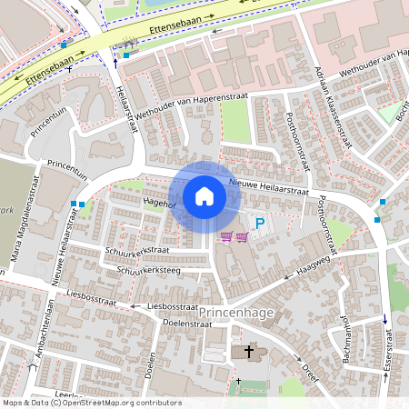 Princenhage, 4813 BR, Pastoor van Spaandonkstraat, Breda