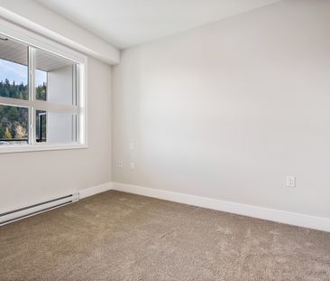 MCGILL - 309 - MG309 - Photo 2