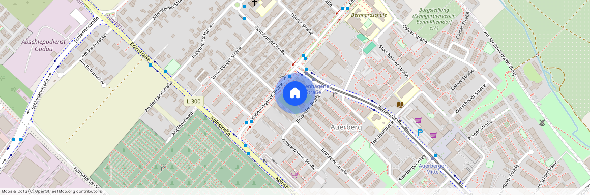 Brüsseler Str. 35, 53117 Bonn - Auerberg