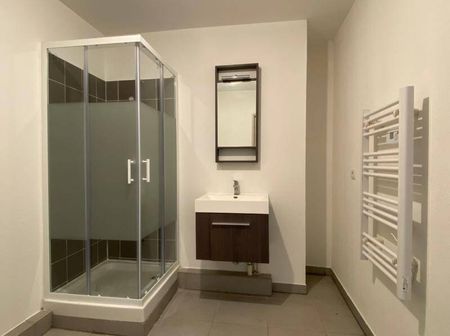 Location appartement 1 pièce 22.4 m² à Castelnau-le-Lez (34170) - Photo 5