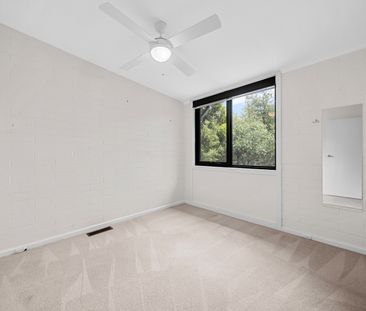 14 Gatton Street, Farrer ACT 2607 - House For Rent | Domain - Photo 4