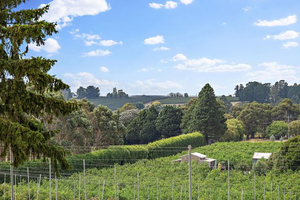 141 Beenak Road, Wandin North - Photo 1
