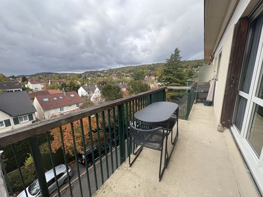 Location Appartement 3 pièces 78m² VILLEBON SUR YVETTE 91140 - Photo 1