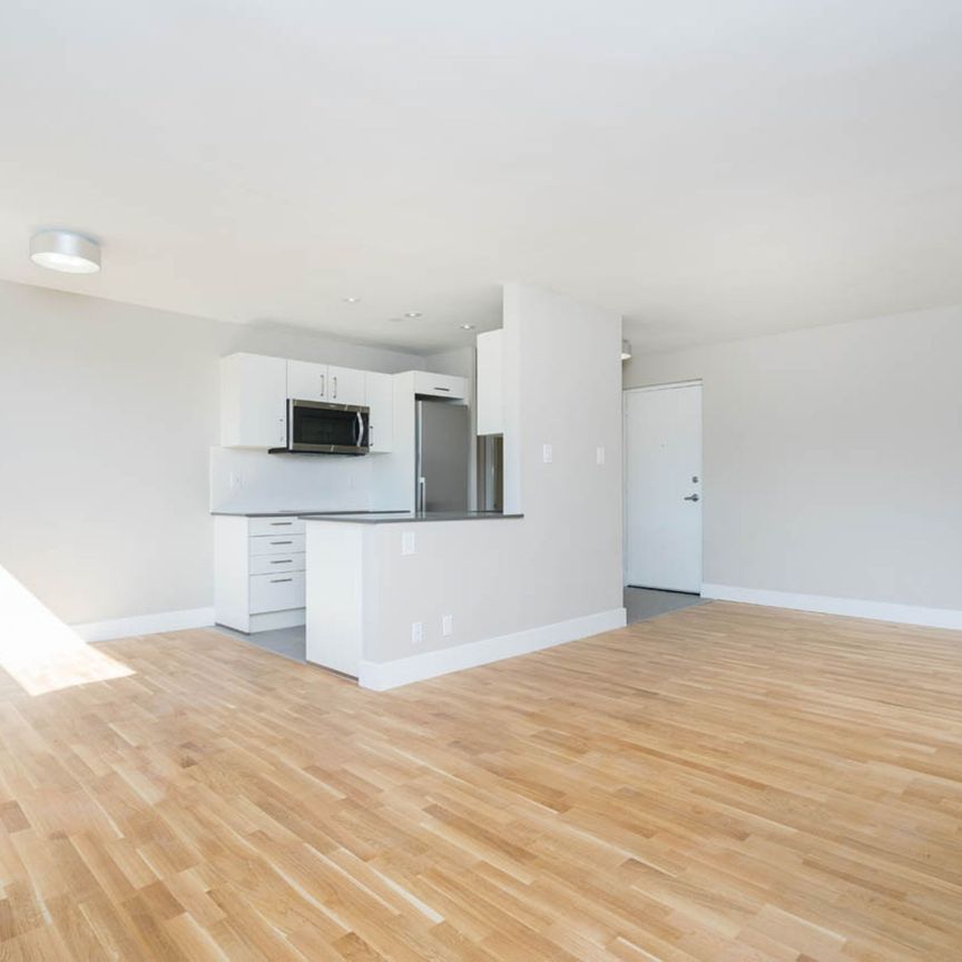 25 Eccleston Drive - Photo 1